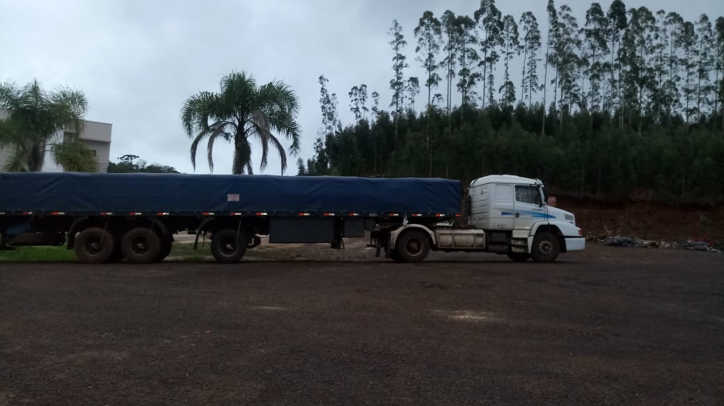 Erva Mate_Região de Erechim.jpg